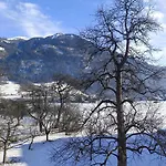 Tischler *
